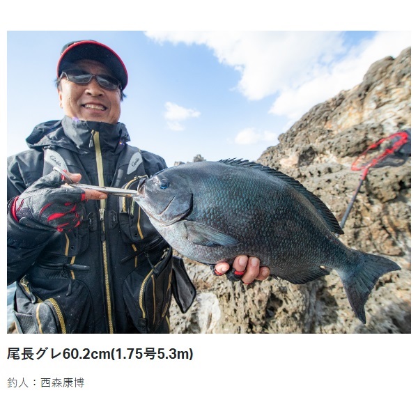 23がま磯 アテンダー3